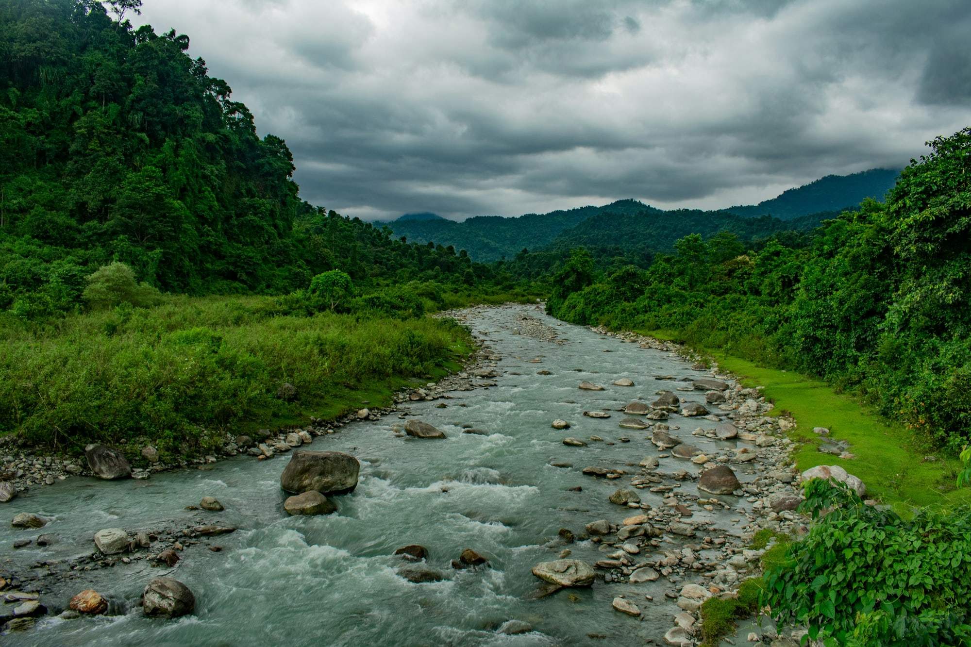 A clear river running through forested foothills in the Dooars