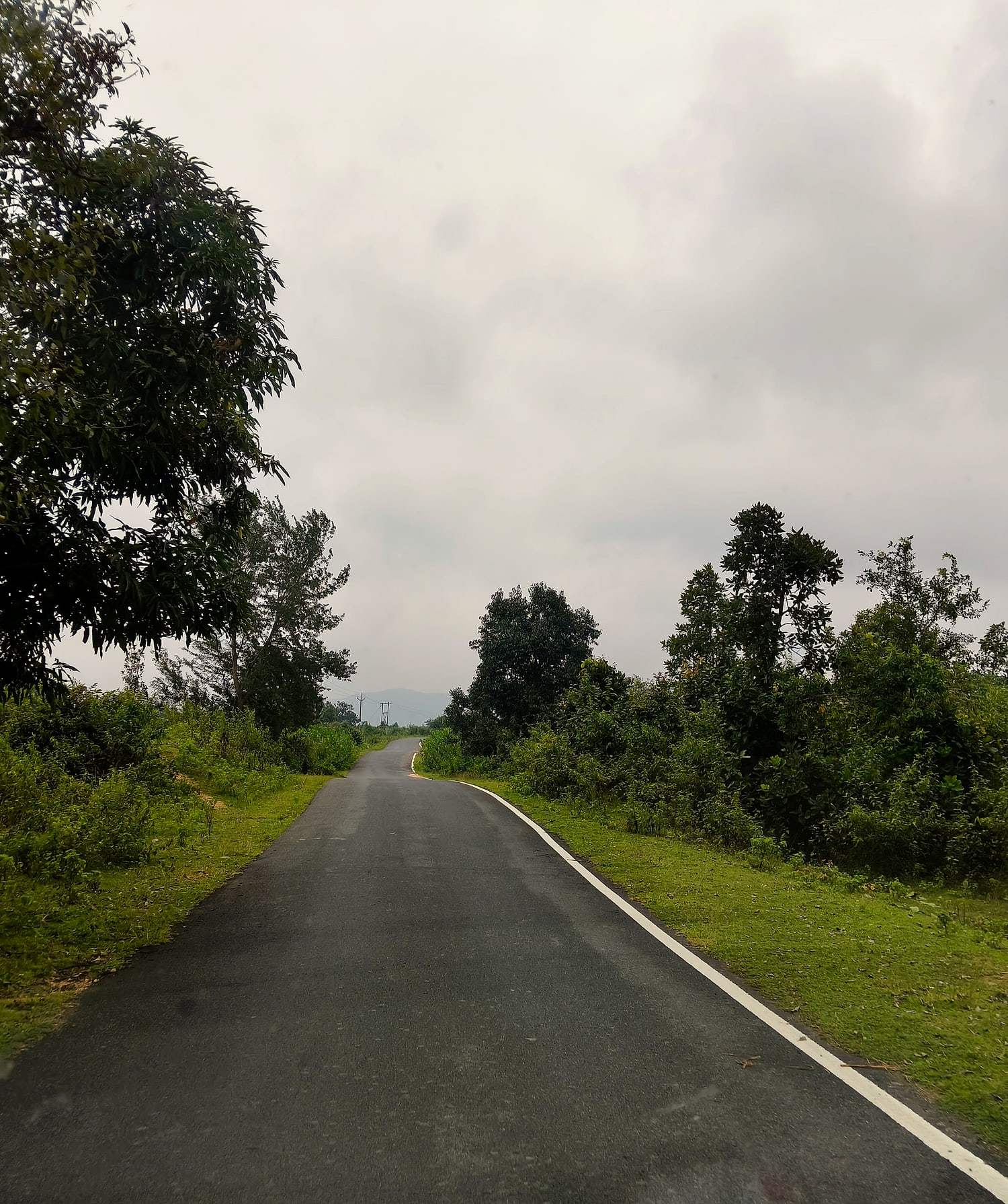 A quiet forest road through Mainpat